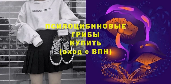 бошки Медногорск