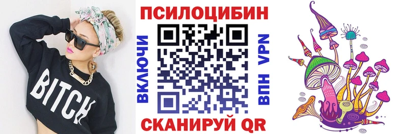 купить наркоту Петропавловск-Камчатский Псилоцибиновые грибы Cubensis