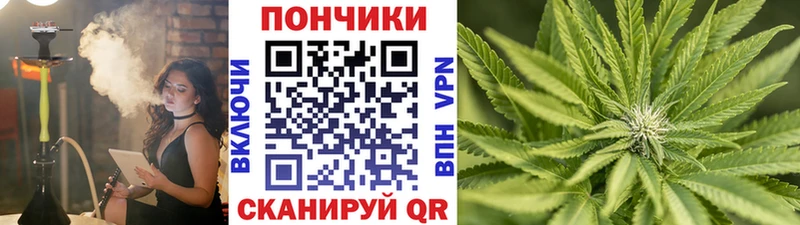 купить закладку Петропавловск-Камчатский Бошки марихуана гибрид